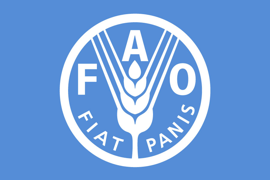 หน่วยงาน FAO