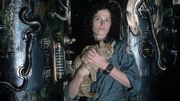 ดูหนังออนไลน์ Alien 1979 ดูหนังhd หนังhd เว็บดูหนัง